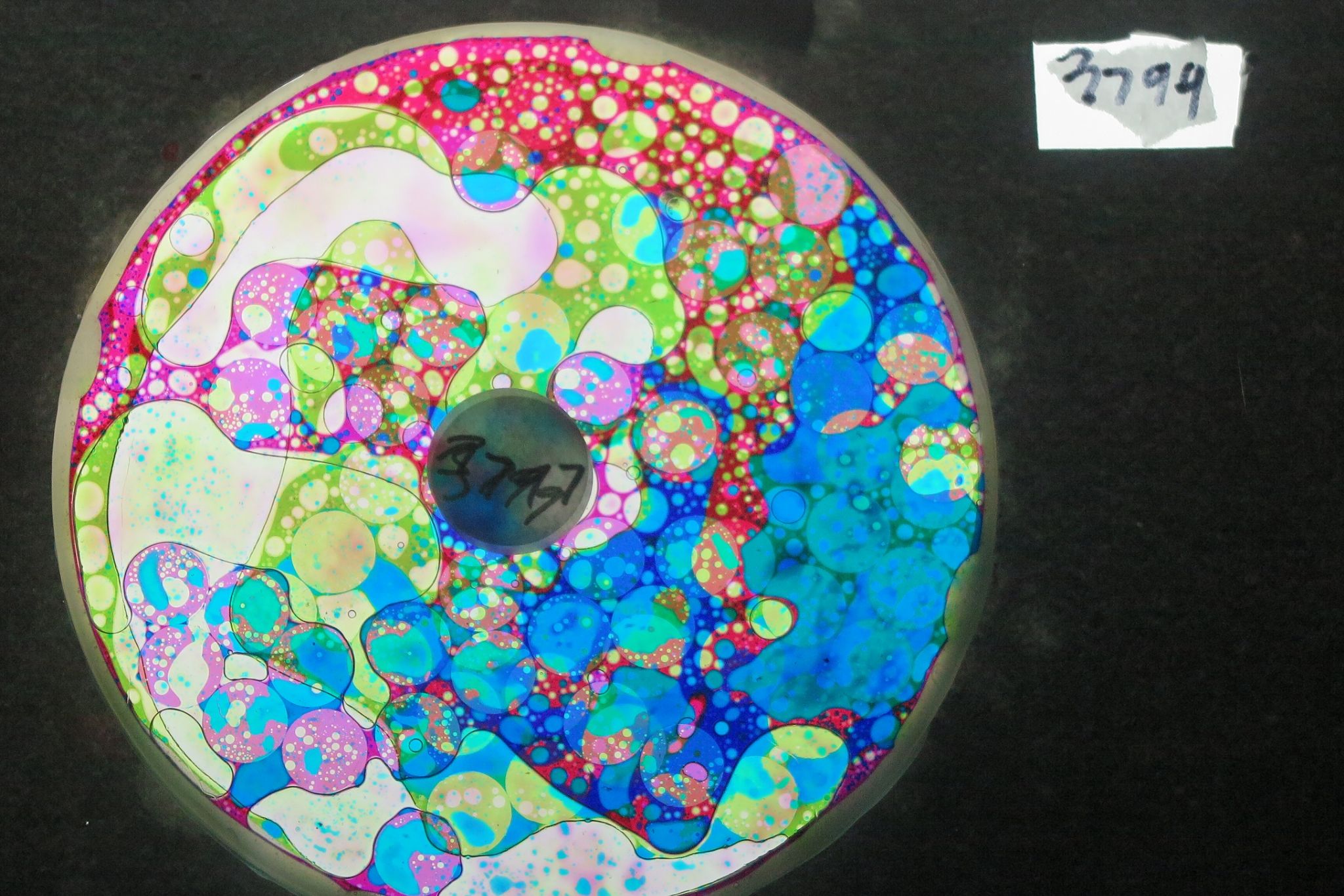 BV3799 bubble vision oil wheel